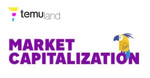 temuland crypto glossary market capitalization
