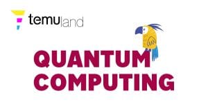 temuland crypto glossary - quantum computing