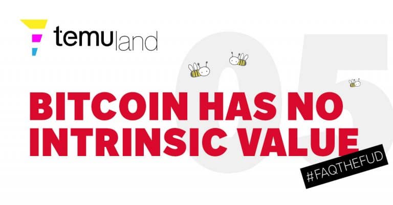Bitcoin has no intrinsic value
