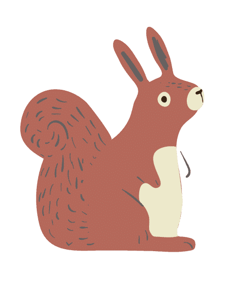 temuland squirrel